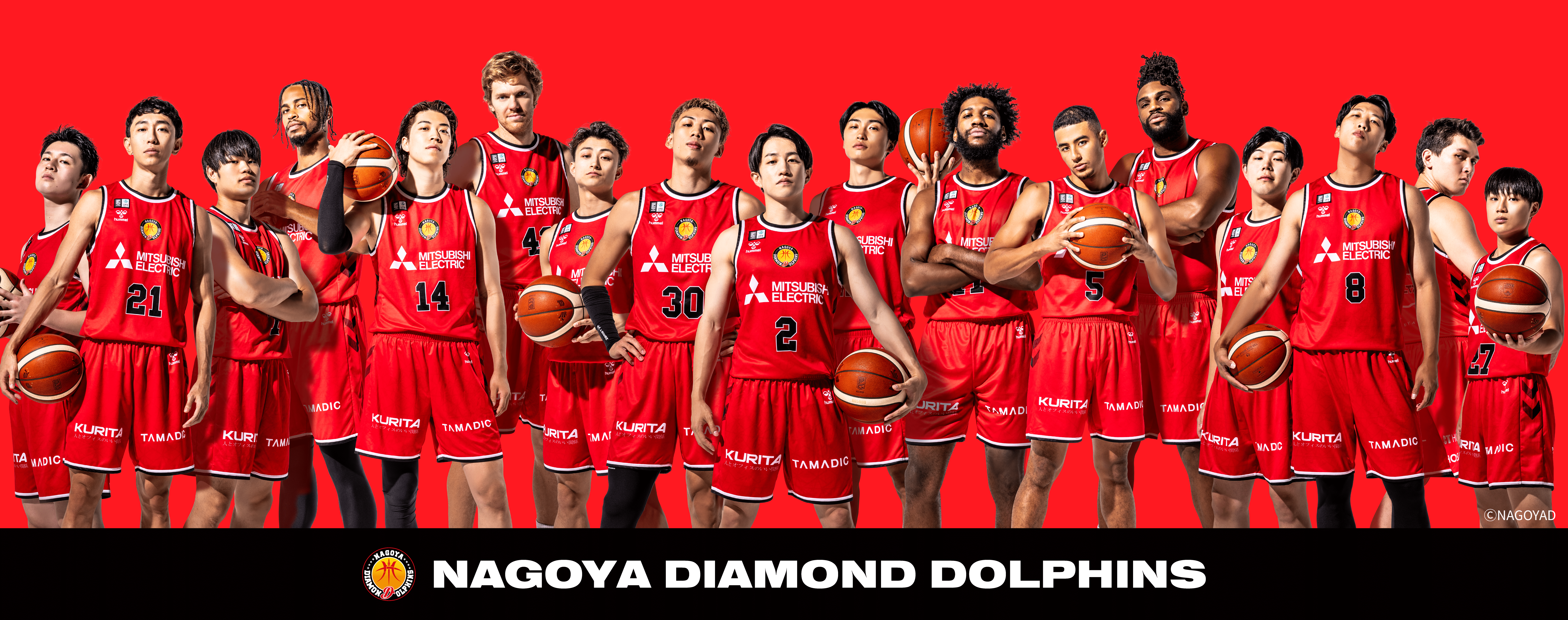 名古屋ダイヤモンドドルフィンズ