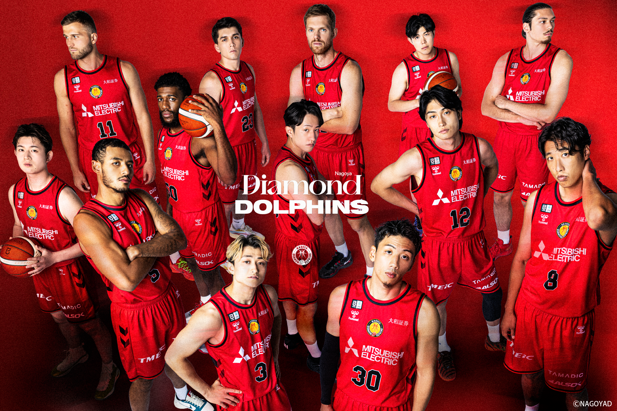 名古屋ダイヤモンドドルフィンズ